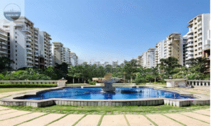 residential & commercial real estate