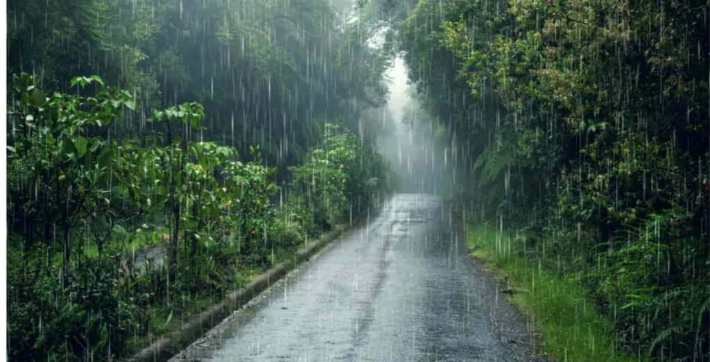 "Monsoon rains in Bangalore with wet roads and green surroundings."
