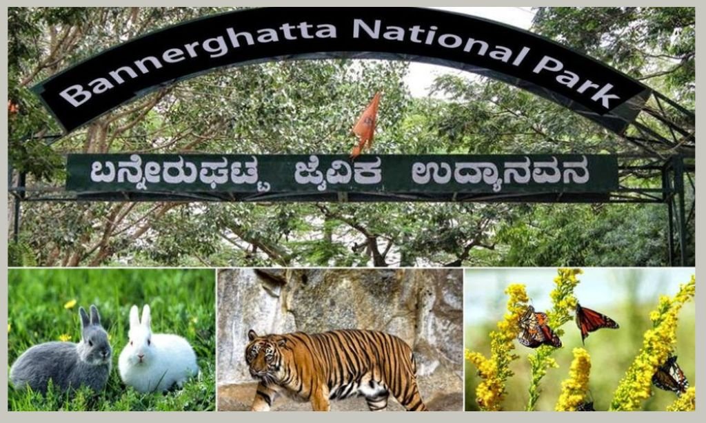 Bannerghatta national park