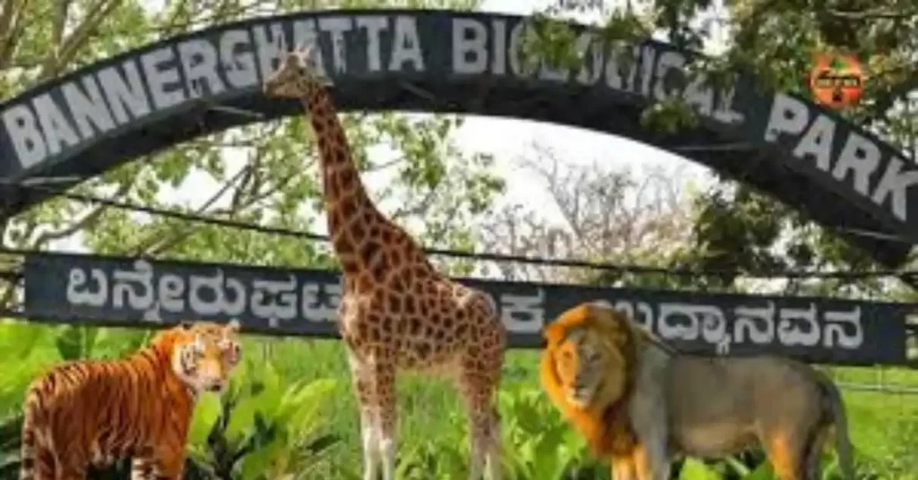 bannerghatta national park
