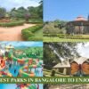 Best parks in Bangalore to Enjoy