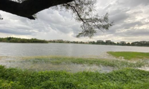 Agara Lake Bangalore