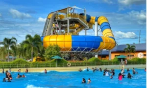 Aqua Planet — Bidadi