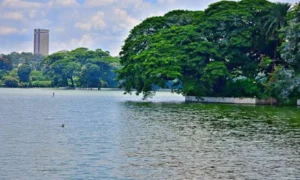 Ulsoor Lake Bangalore