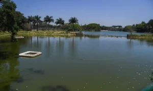 lalbagh lake bangalore